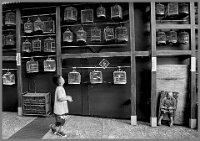 233 - WINDOW SHOPPING - DHARMADHIKARI SUDHEER - india <div